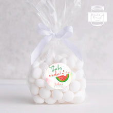 Load image into Gallery viewer, Watercolour Watermelon Style "Thanks a melon" Baby Shower Thank You Stickers Favour Stickers