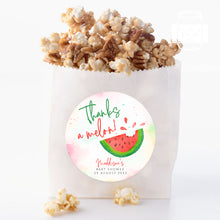 Load image into Gallery viewer, Watercolour Watermelon Style "Thanks a melon" Baby Shower Thank You Stickers Favour Stickers