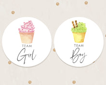 Load image into Gallery viewer, 24pcs 40mm Watercolour Ice Cream Style Baby Gender Reveal Team Girl Team Boy Favour Stickers