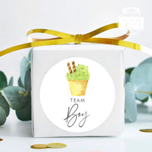Load image into Gallery viewer, 24pcs 40mm Watercolour Ice Cream Style Baby Gender Reveal Team Girl Team Boy Favour Stickers