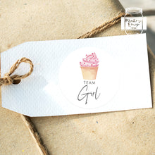 Load image into Gallery viewer, 24pcs 40mm Watercolour Ice Cream Style Baby Gender Reveal Team Girl Team Boy Favour Stickers