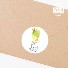 Load image into Gallery viewer, 24pcs 40mm Watercolour Ice Cream Style Baby Gender Reveal Team Girl Team Boy Favour Stickers