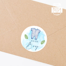 Load image into Gallery viewer, 24pcs 40mm Watercolour Onesie and Dress Style Baby Gender Reveal Team Girl Team Boy Favour Stickers