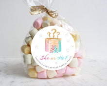 Load image into Gallery viewer, Watercolour Cake Style She or He Baby Gender Reveal Stickers Favour Stickers
