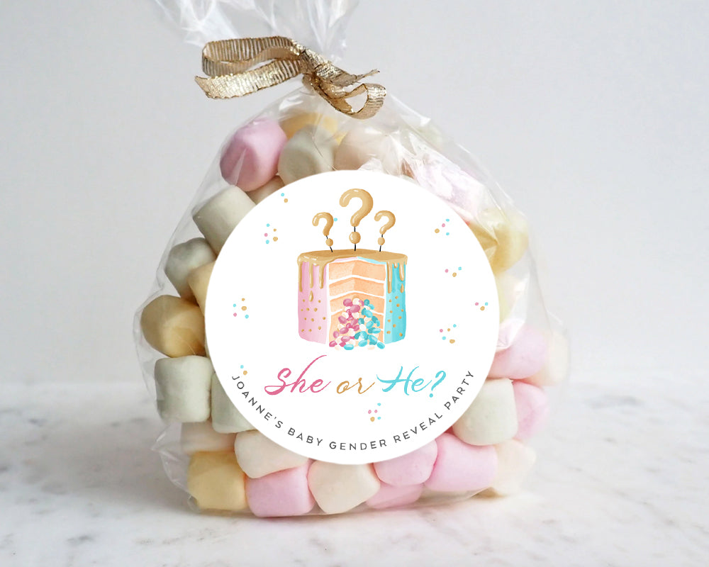 Watercolour Cake Style She or He Baby Gender Reveal Stickers Favour Stickers