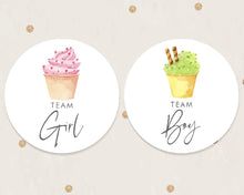 Load image into Gallery viewer, 24pcs 40mm Watercolour Ice Cream Style Baby Gender Reveal Team Girl Team Boy Favour Stickers
